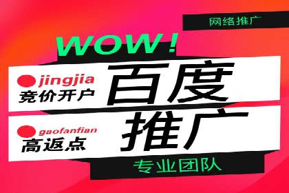 百度推广托管服务案例解析
